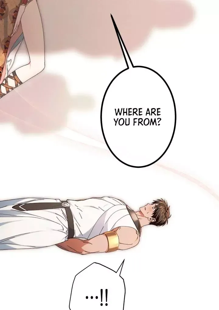 The Snake That Swallowed The Pomegranate - Chapter 8 Page 81