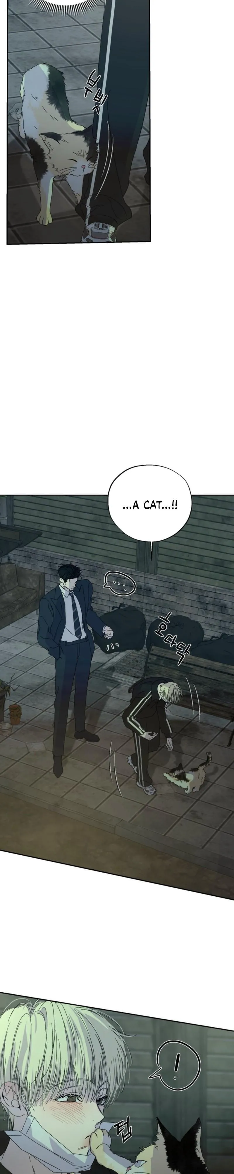 Color Point - Chapter 19 Page 25