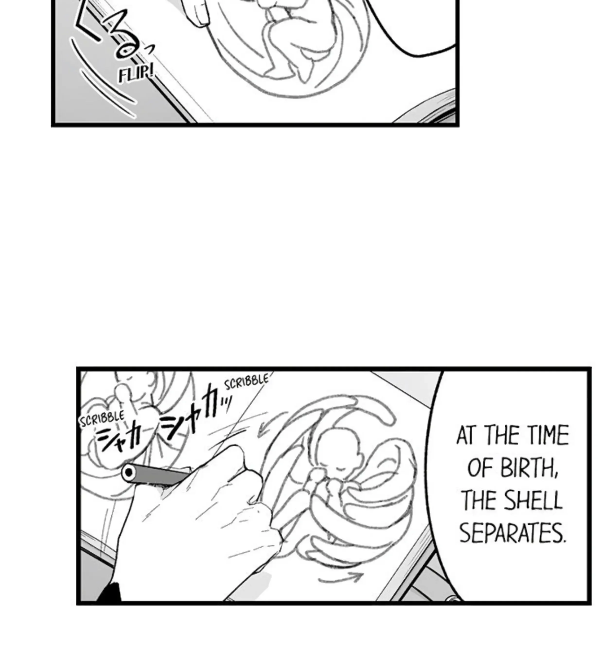 The Titan’s Bride - Chapter 80 Page 7