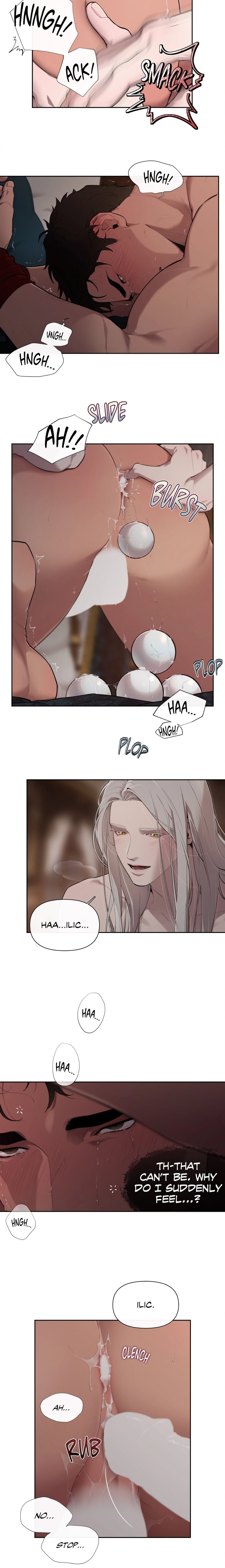 Plaything: The Grand Duke’s Boytoy (Uncensored) - Chapter 33.12 Page 13