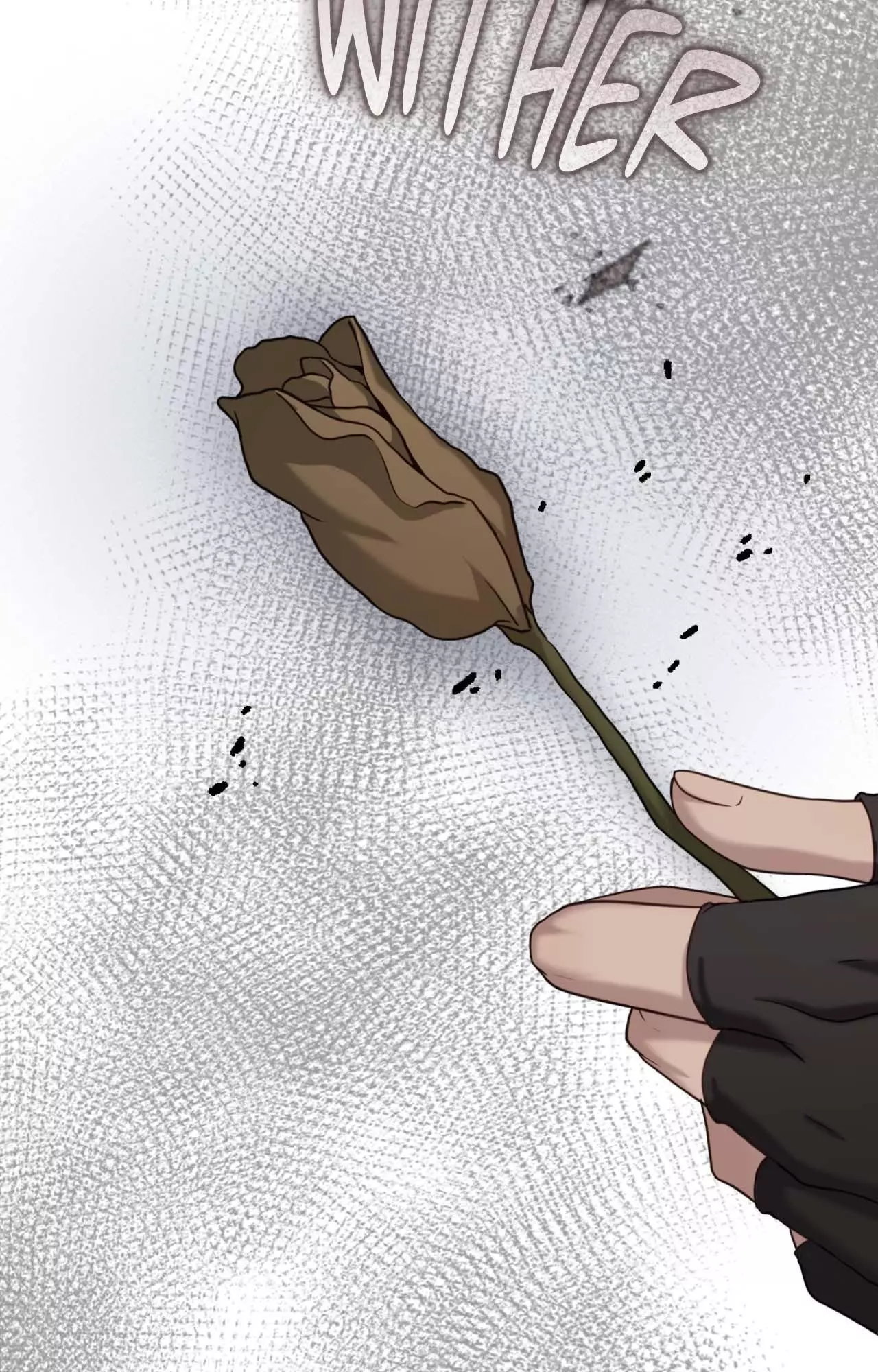 Tesoro of the Guide - Chapter 10 Page 8