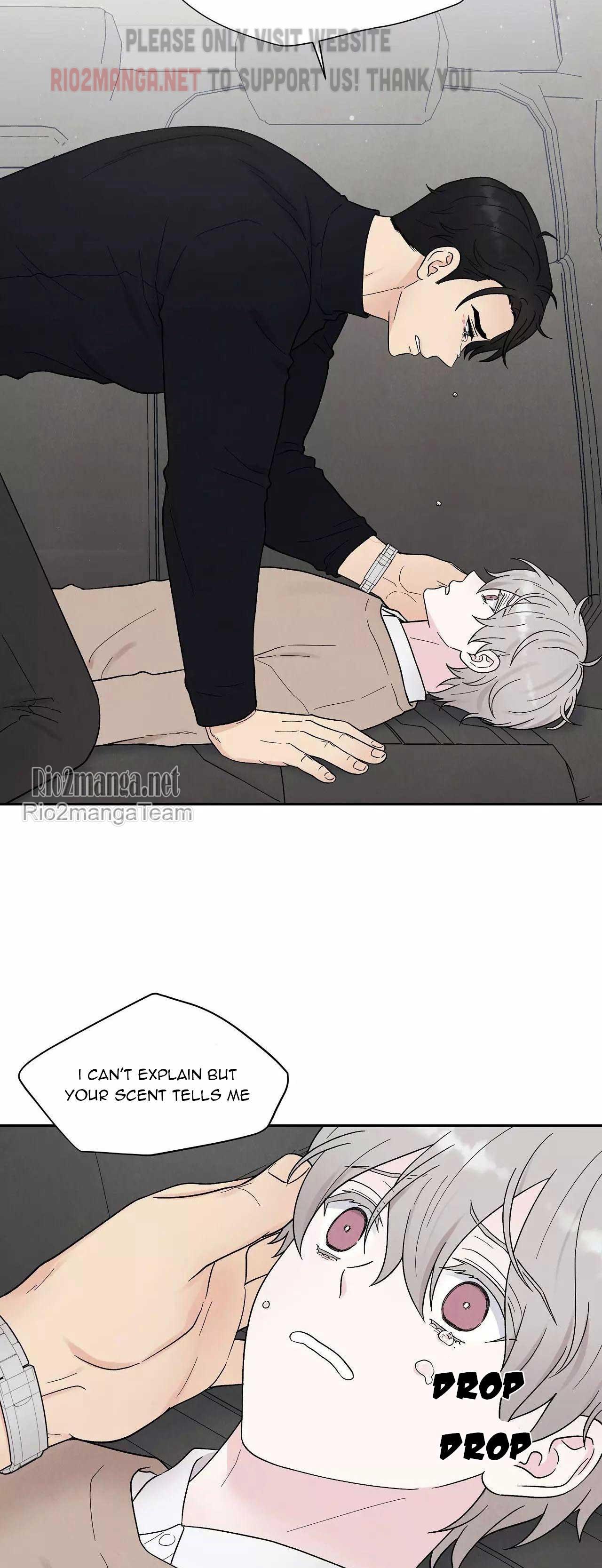 If It’s Not Fate, Then What Is It? - Chapter 17 Page 34