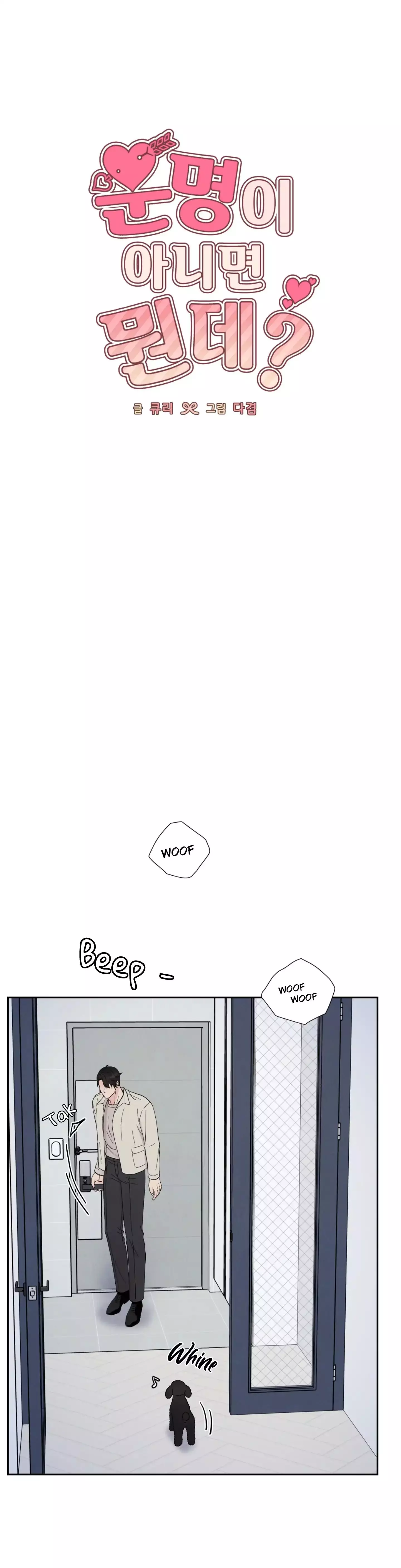If It’s Not Fate, Then What Is It? - Chapter 53 Page 14