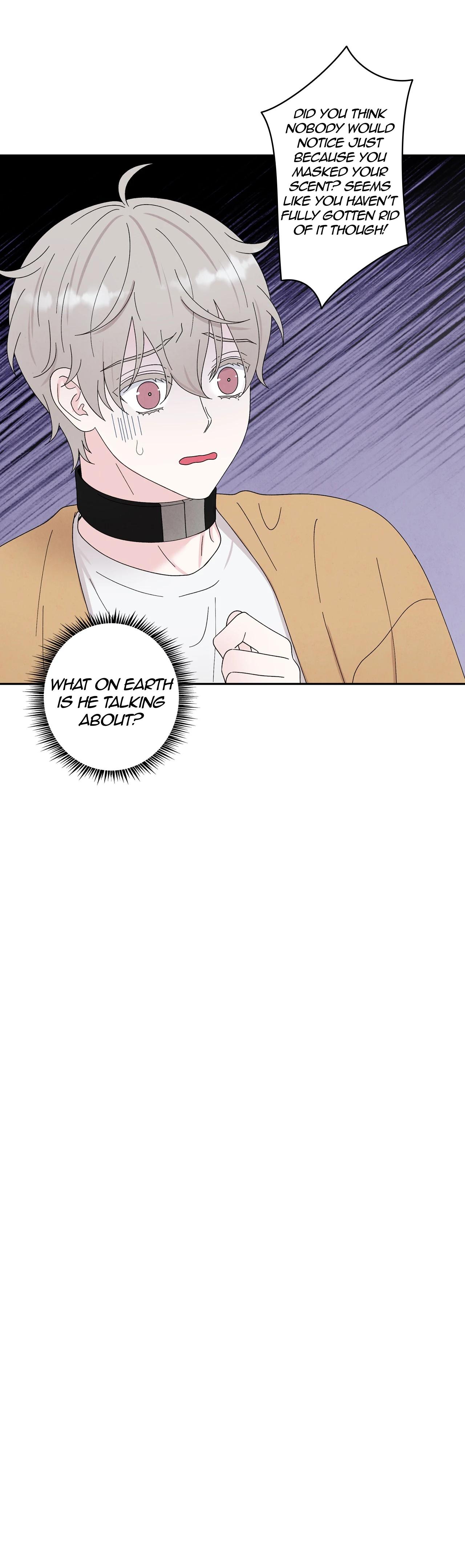 If It’s Not Fate, Then What Is It? - Chapter 64 Page 31
