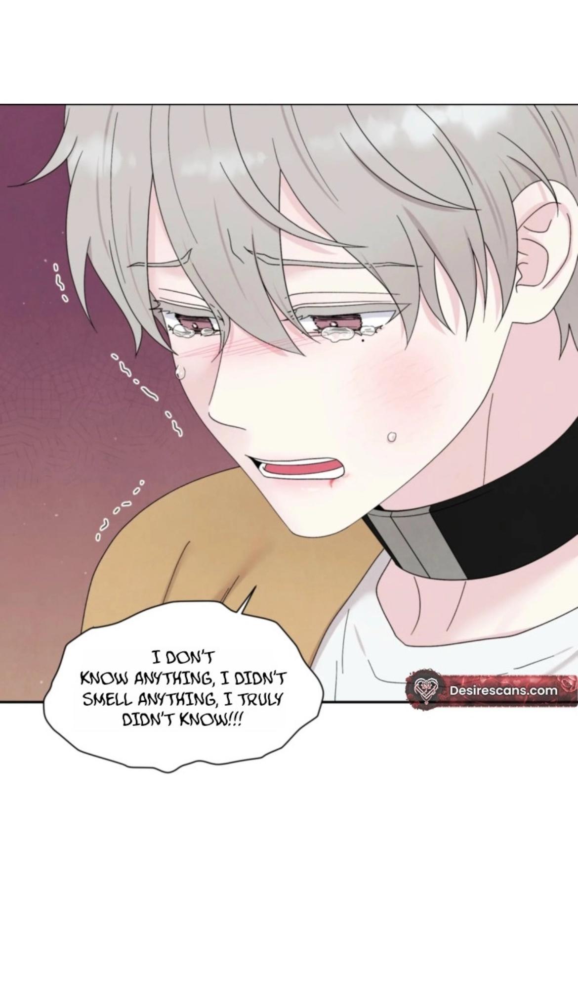 If It’s Not Fate, Then What Is It? - Chapter 66 Page 33