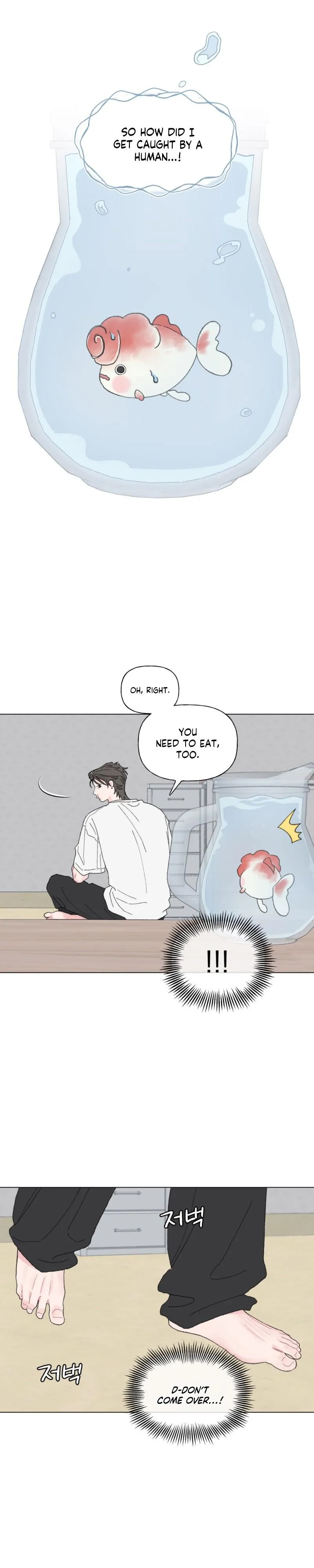 Winsome Oranda - Chapter 1 Page 11