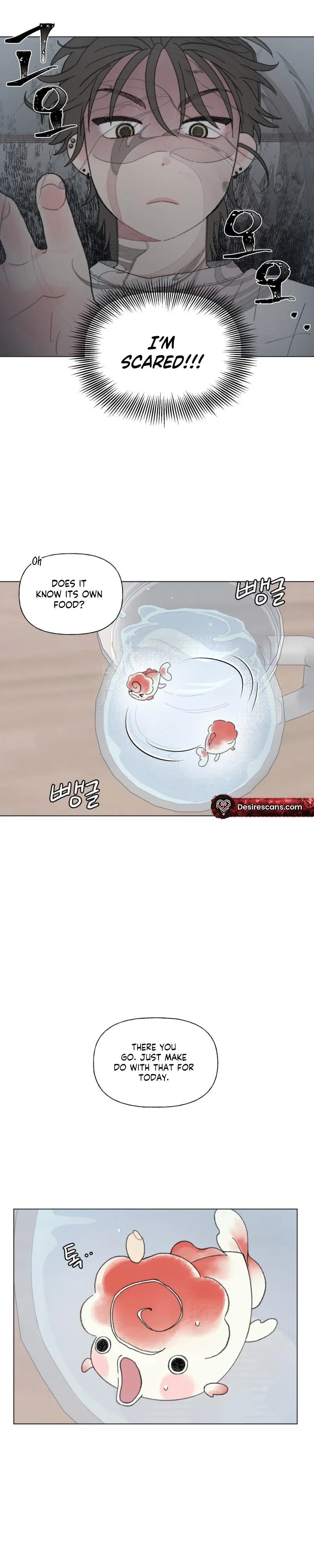 Winsome Oranda - Chapter 1 Page 12