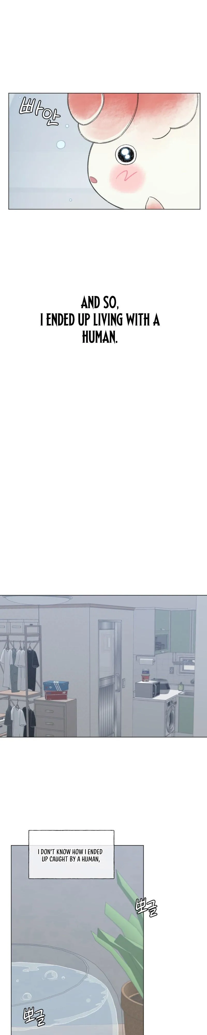 Winsome Oranda - Chapter 1 Page 14