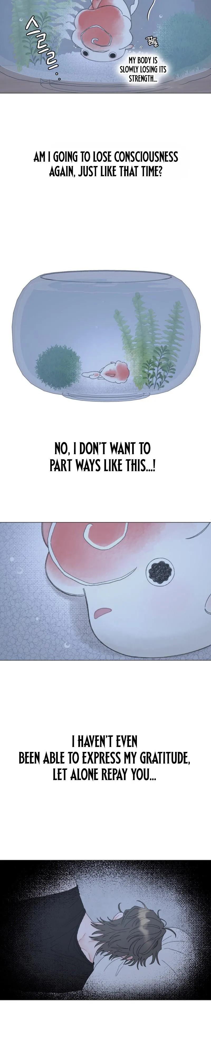 Winsome Oranda - Chapter 1 Page 22