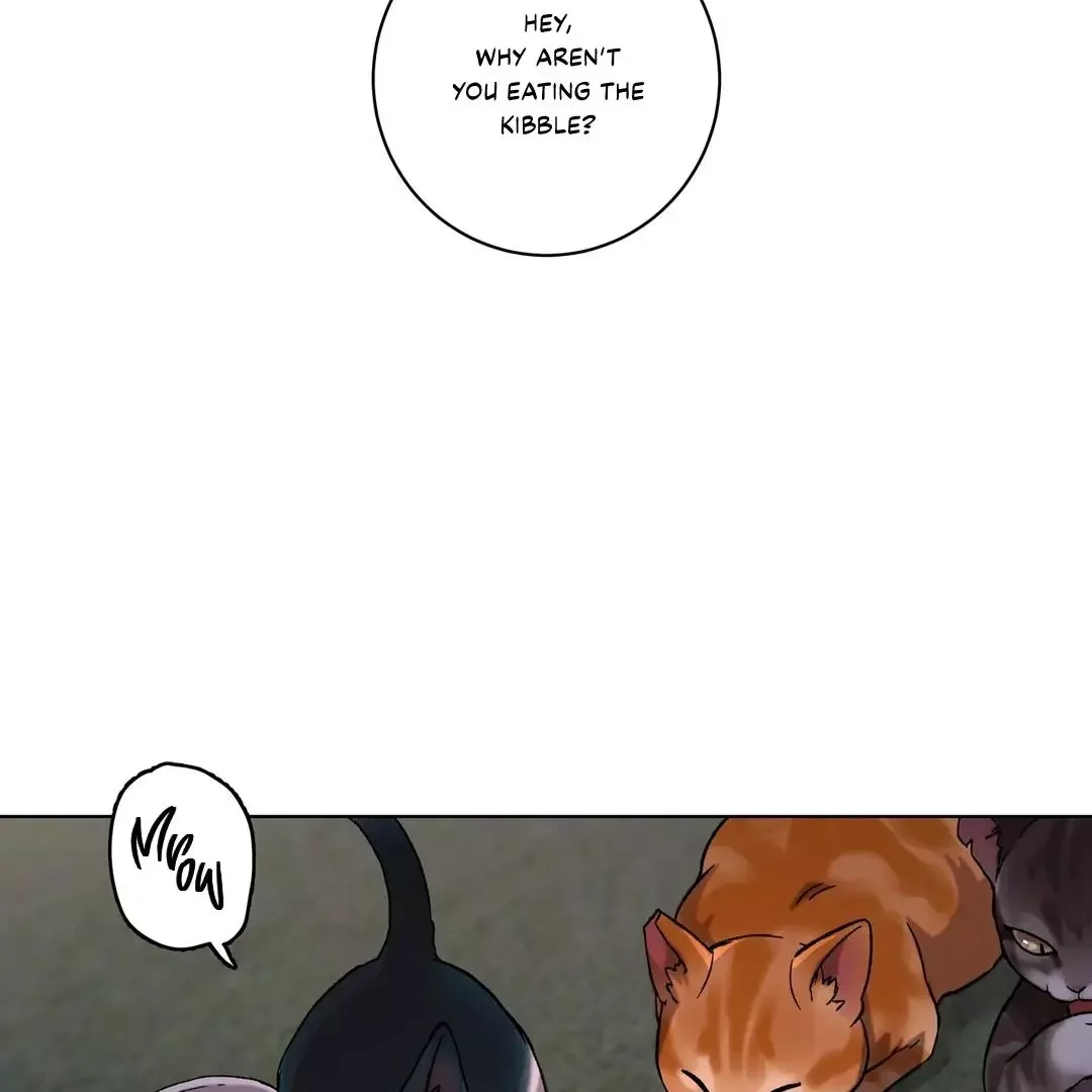 Release Your Persona - Chapter 1 Page 2