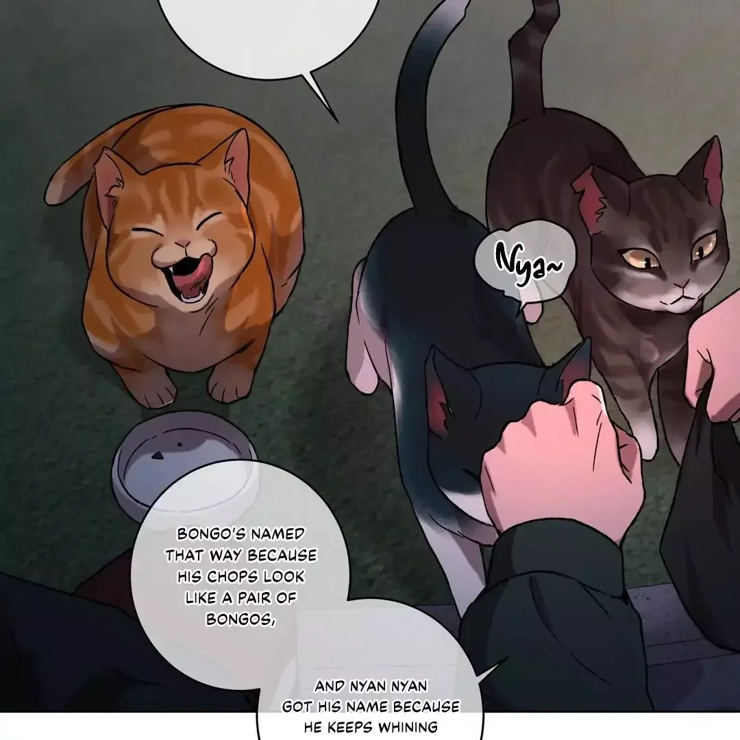 Release Your Persona - Chapter 1 Page 11
