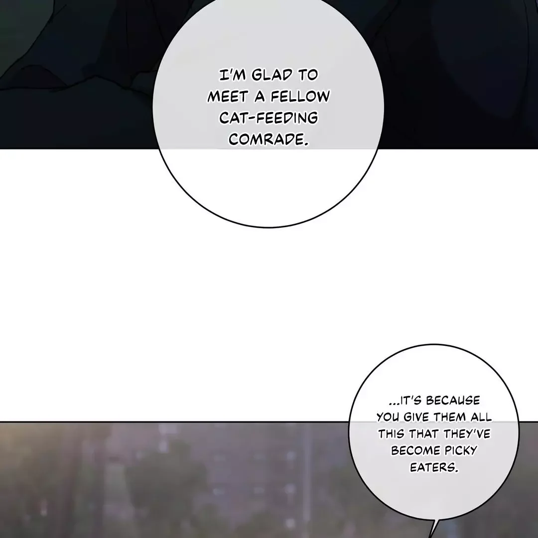 Release Your Persona - Chapter 1 Page 19