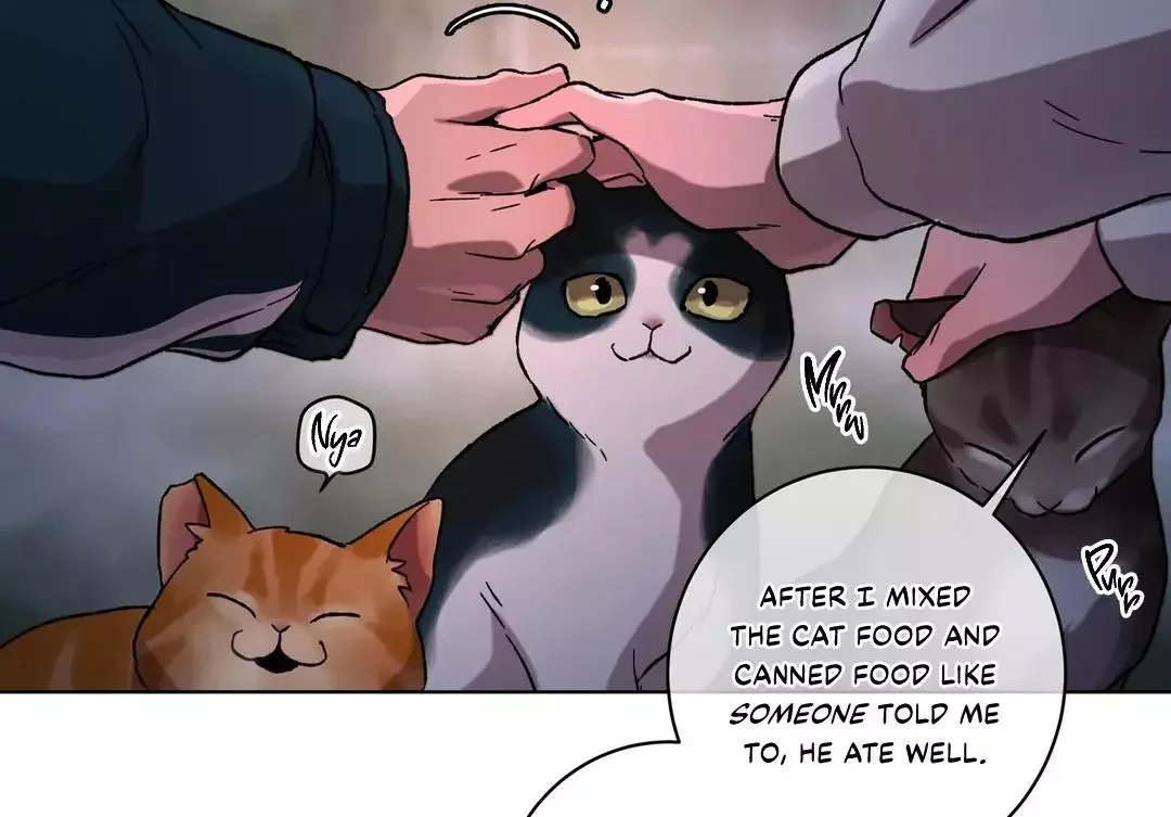 Release Your Persona - Chapter 9 Page 216