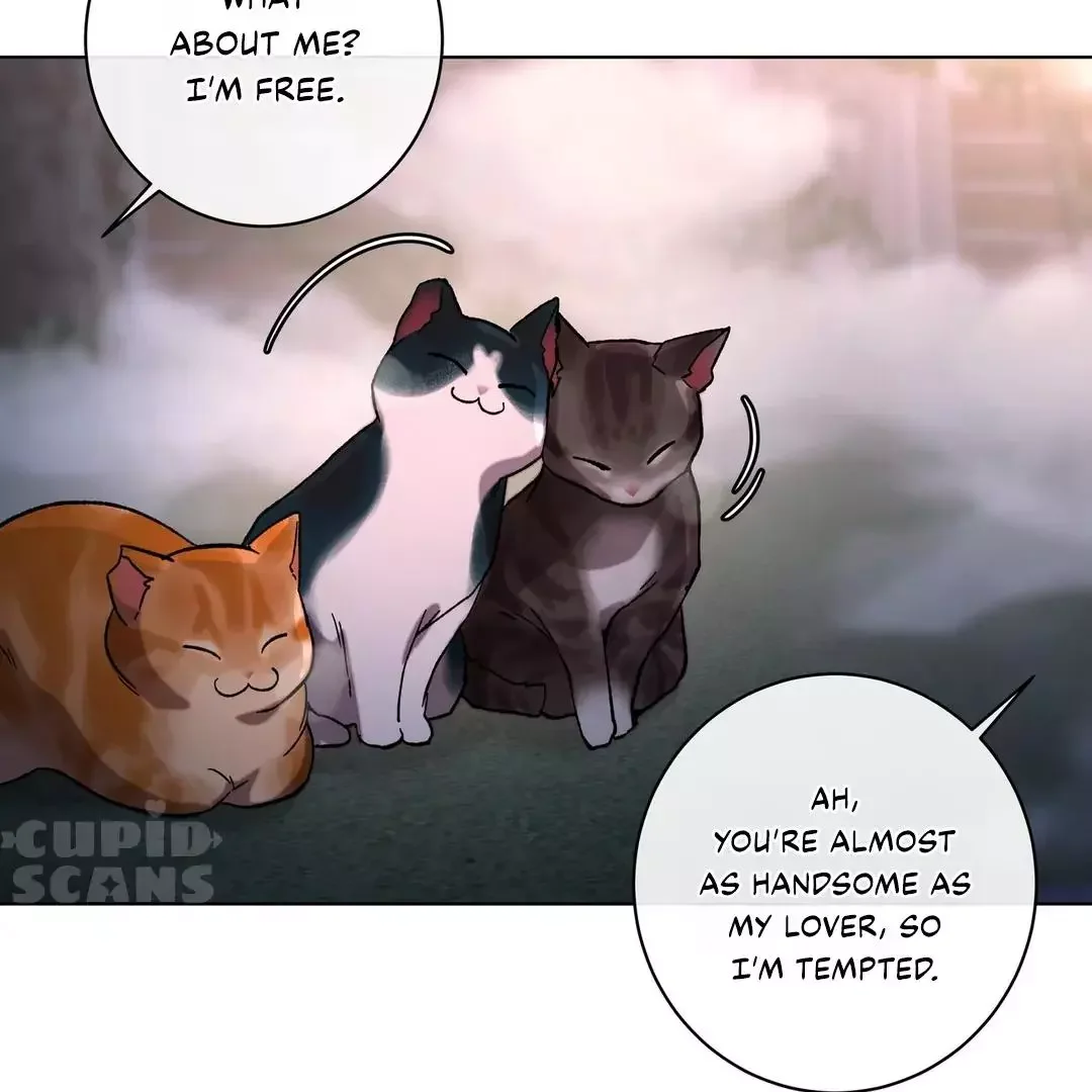 Release Your Persona - Chapter 9 Page 222