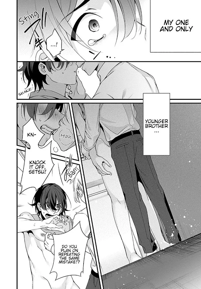 Ani Wo Yome Ni Metorimasu ~Kondo Wa Tebanasanai~ - Chapter 3 Page 14