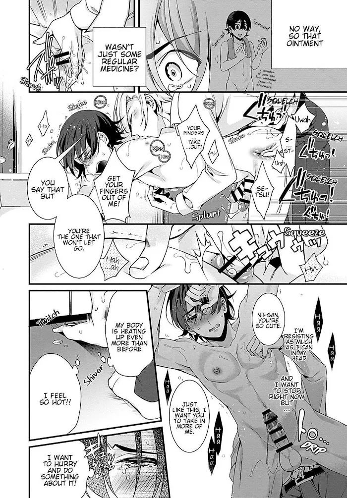 Ani Wo Yome Ni Metorimasu ~Kondo Wa Tebanasanai~ - Chapter 3 Page 20