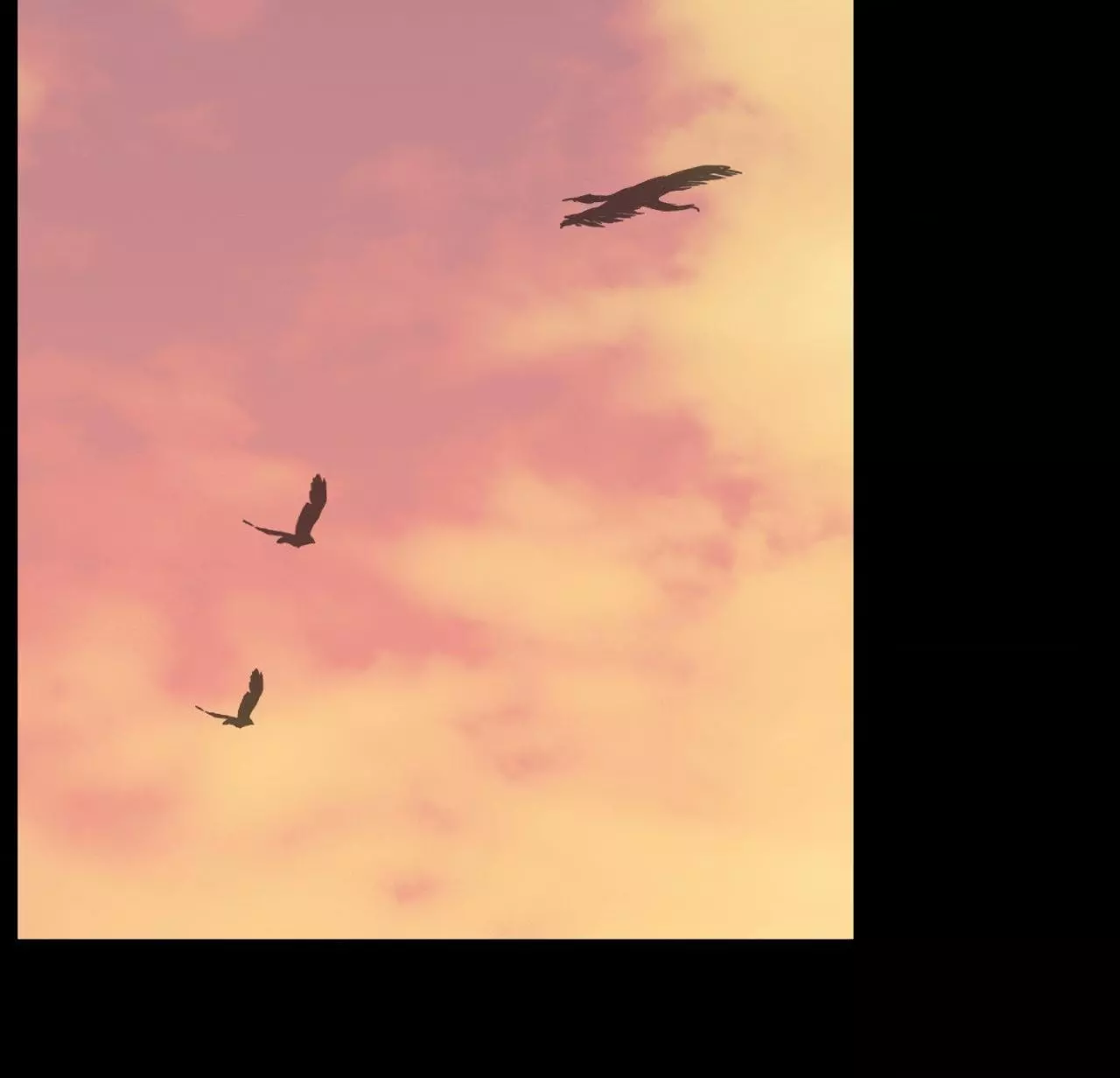 Pond with Flowers - Chapter 26 Page 53