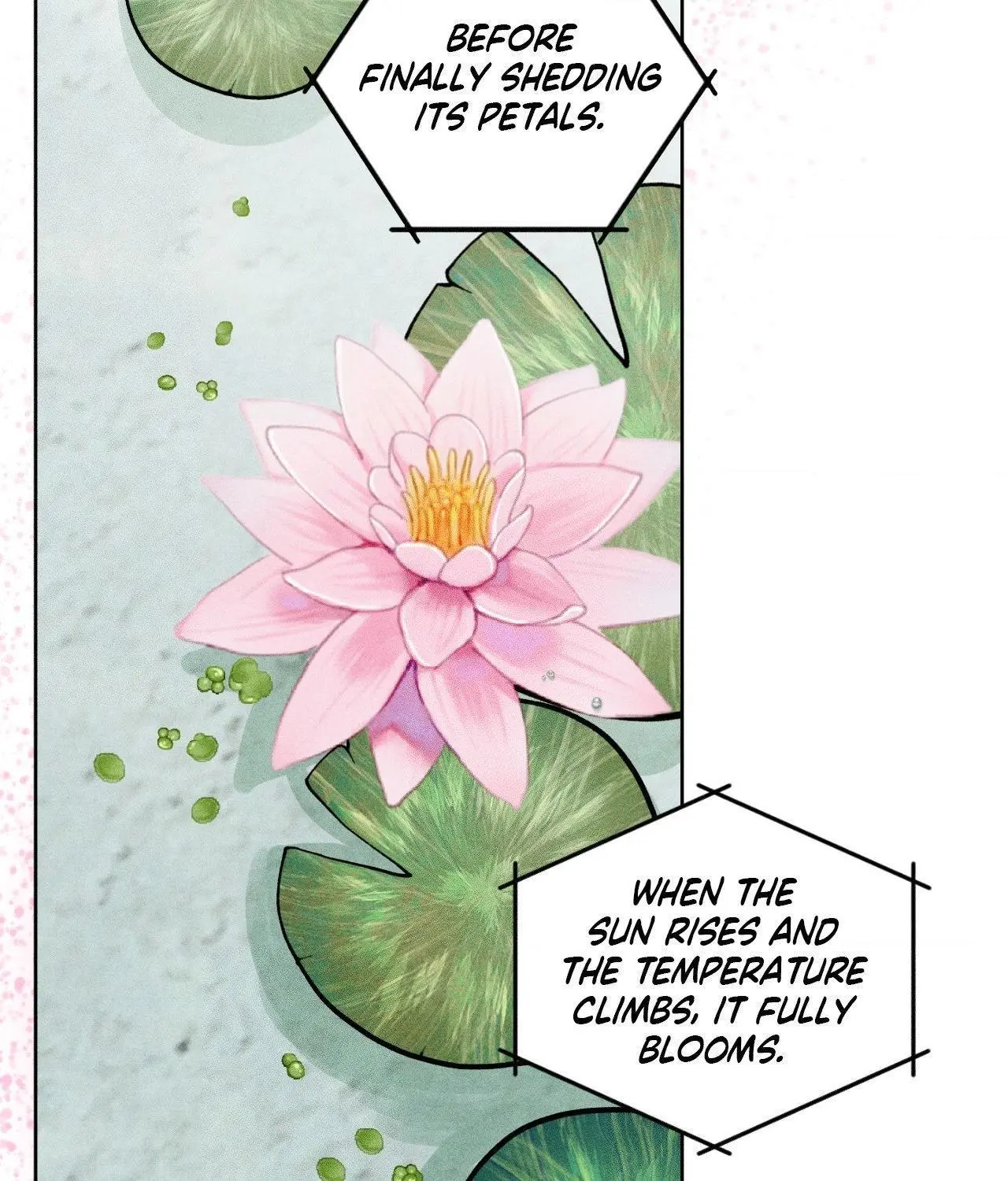 Pond with Flowers - Chapter 66 Page 26