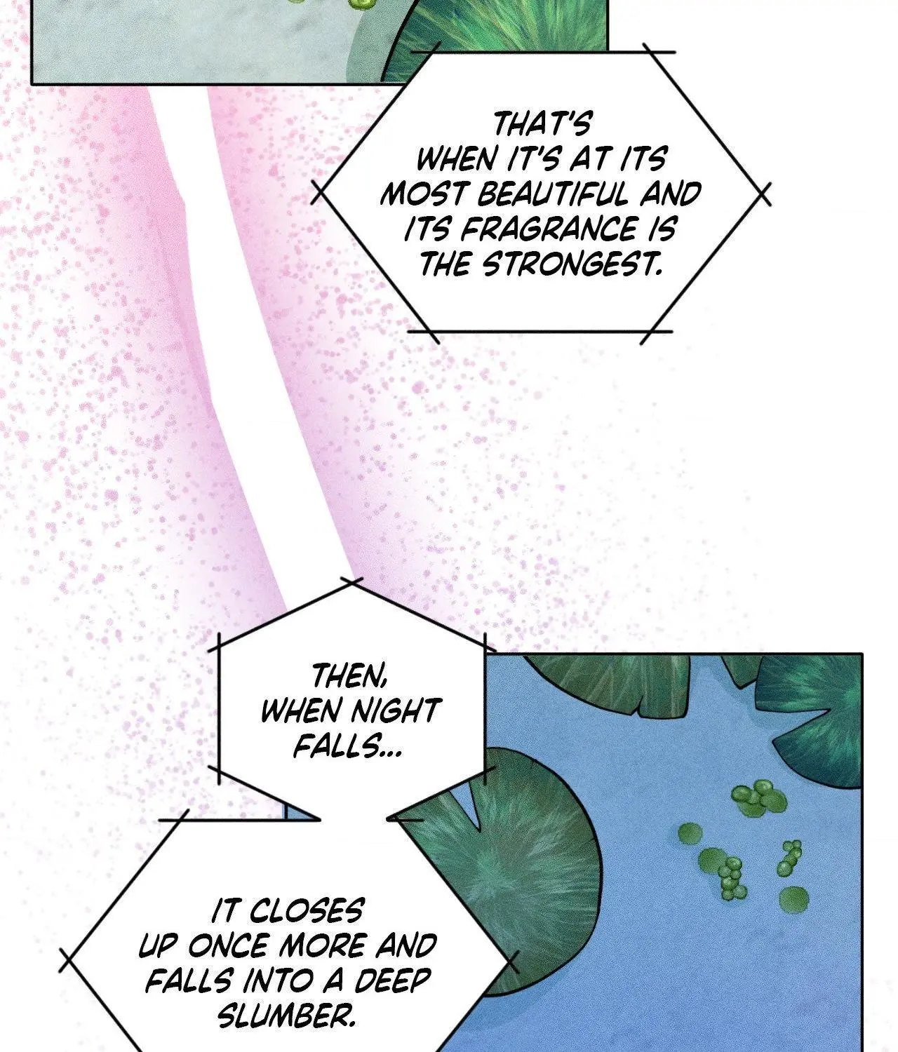 Pond with Flowers - Chapter 66 Page 27