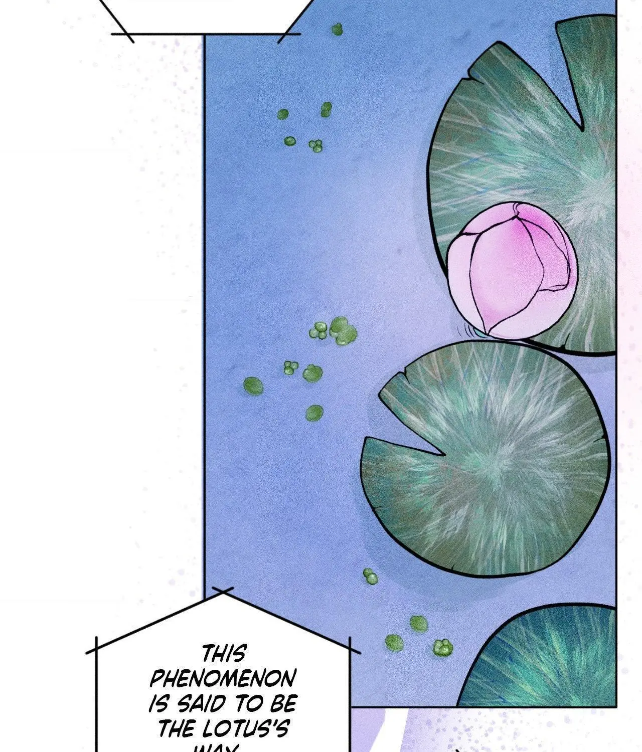 Pond with Flowers - Chapter 66 Page 28