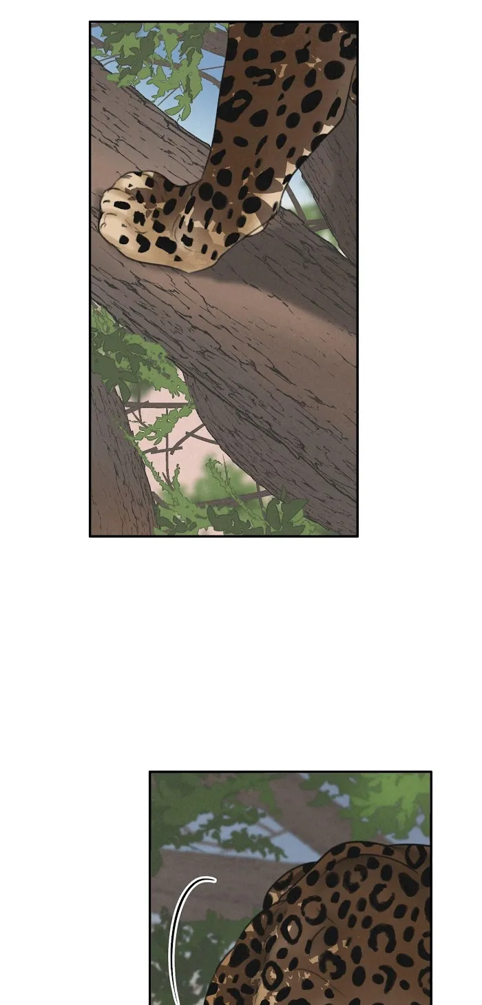 Safari Game - Chapter 1 Page 15
