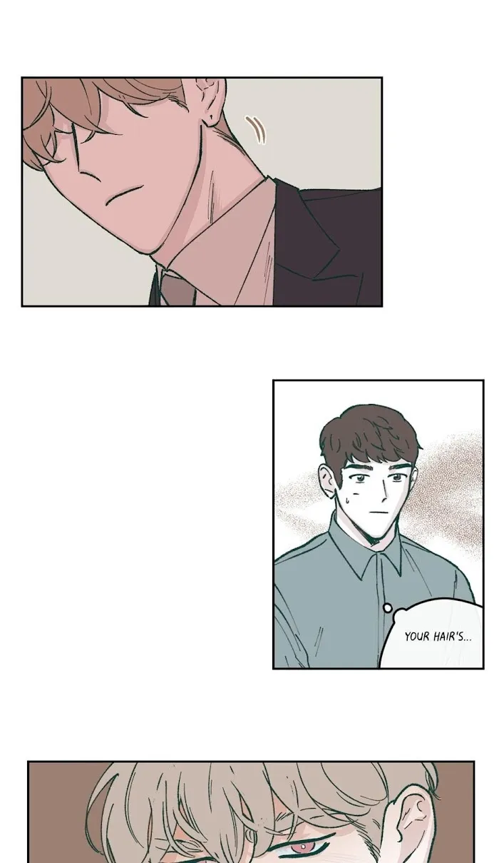 Mr. 100% Perfect - Chapter 37 Page 5
