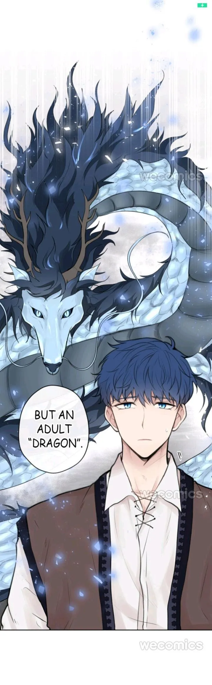 Dragon’s First Crush - Chapter 1 Page 13
