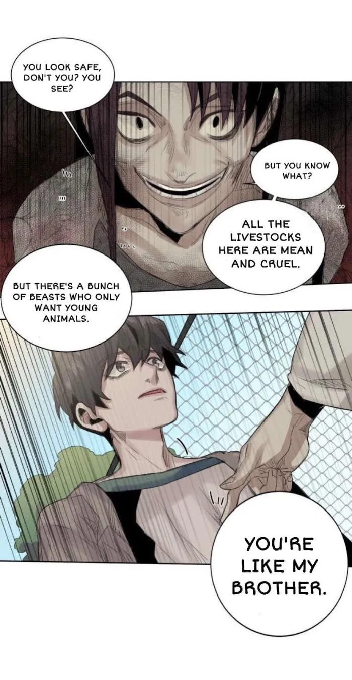 A Dead Crow’s Stare - Chapter 19 Page 32