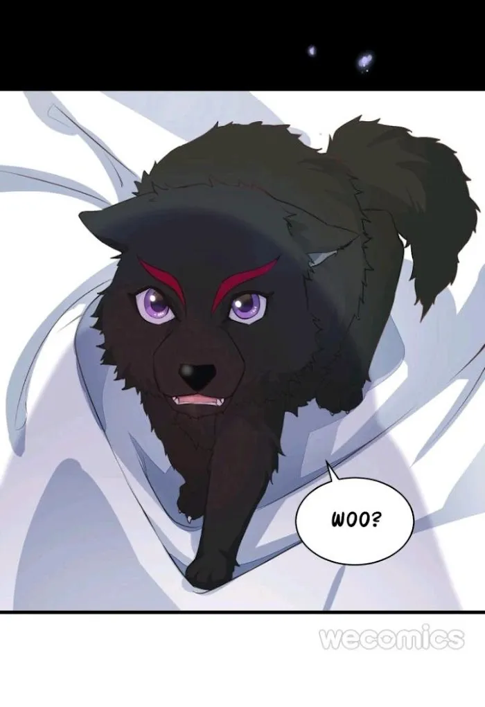 Stop It, Mr.Wolf - Chapter 1 Page 24