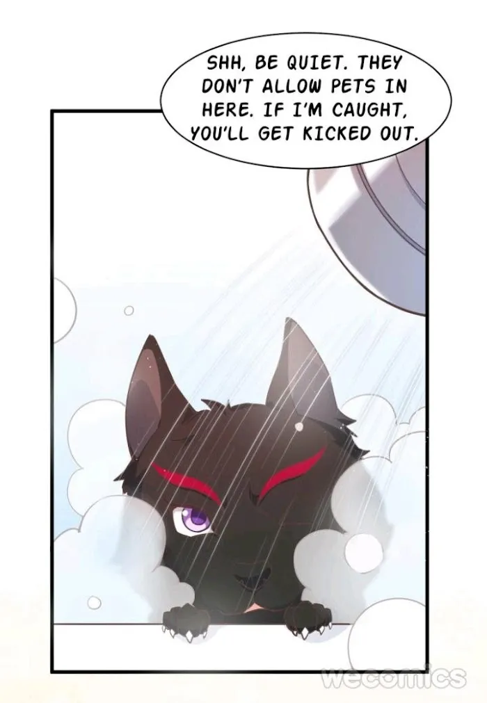 Stop It, Mr.Wolf - Chapter 1 Page 25