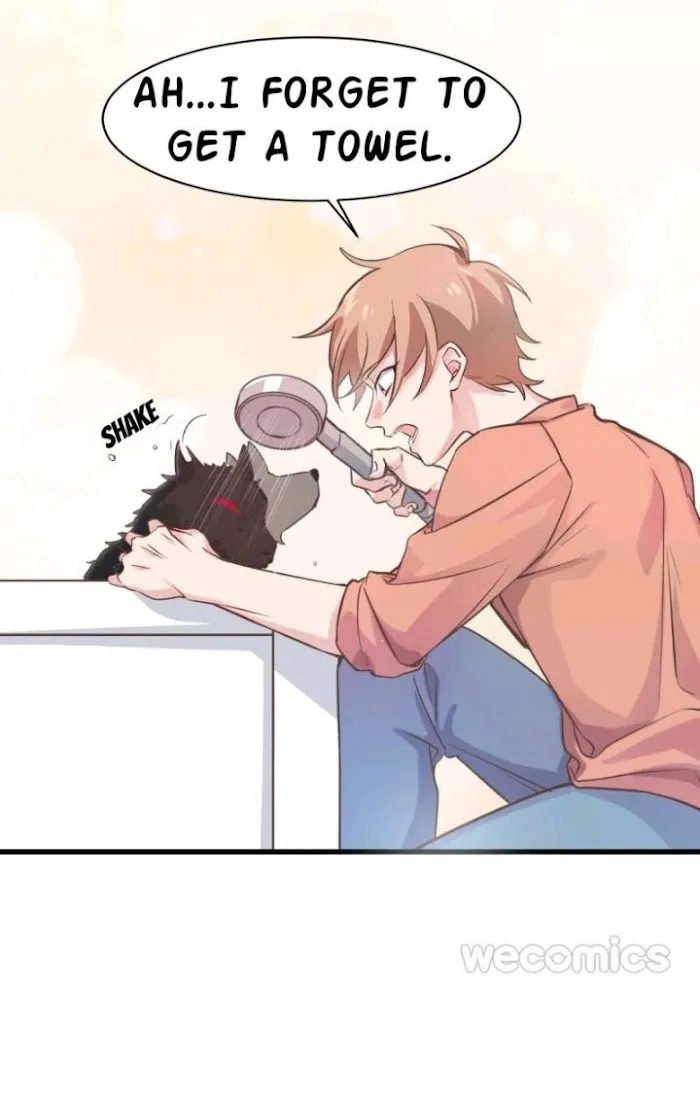 Stop It, Mr.Wolf - Chapter 1 Page 26