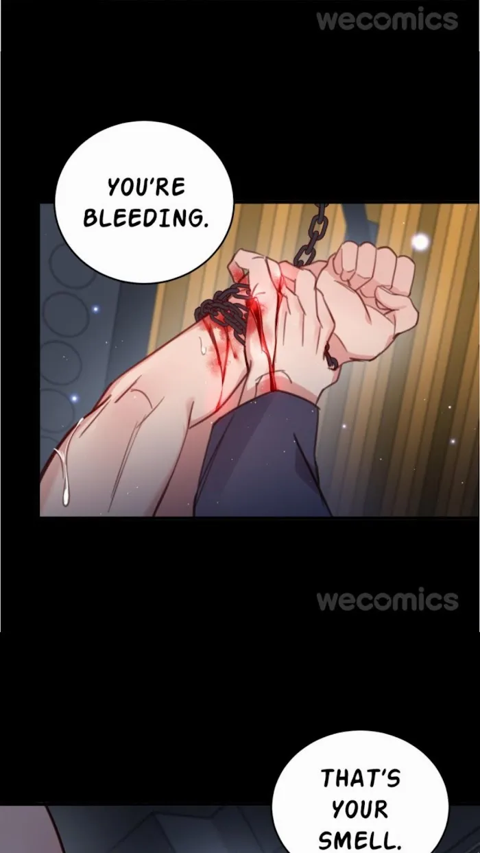 Stop It, Mr.Wolf - Chapter 104 Page 21