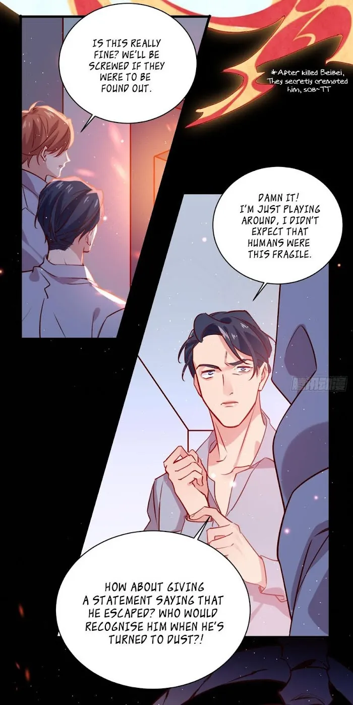 Stop It, Mr.Wolf - Chapter 36 Page 4