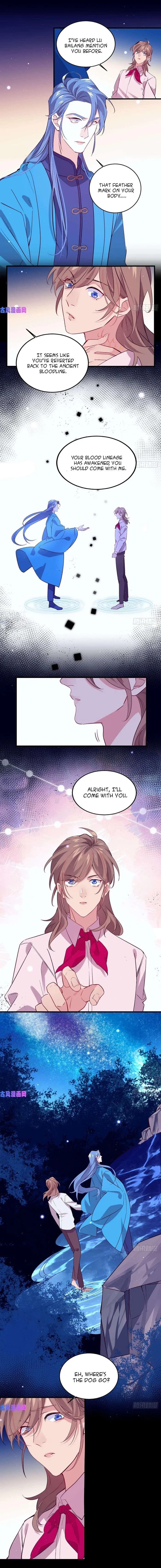 Stop It, Mr.Wolf - Chapter 63 Page 5
