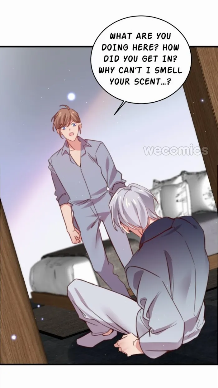Stop It, Mr.Wolf - Chapter 99 Page 8