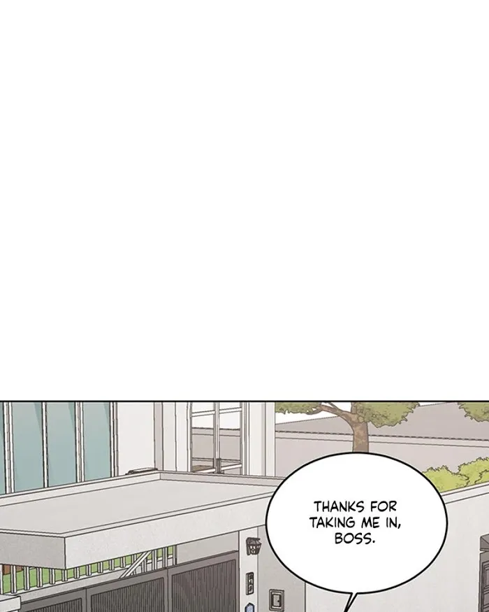 The Boss Is Too Much!!! - Chapter 26 Page 43