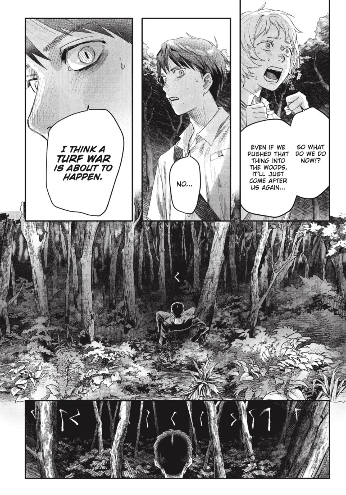 Hikaru Ga Shinda Natsu - Chapter 45.2 Page 12