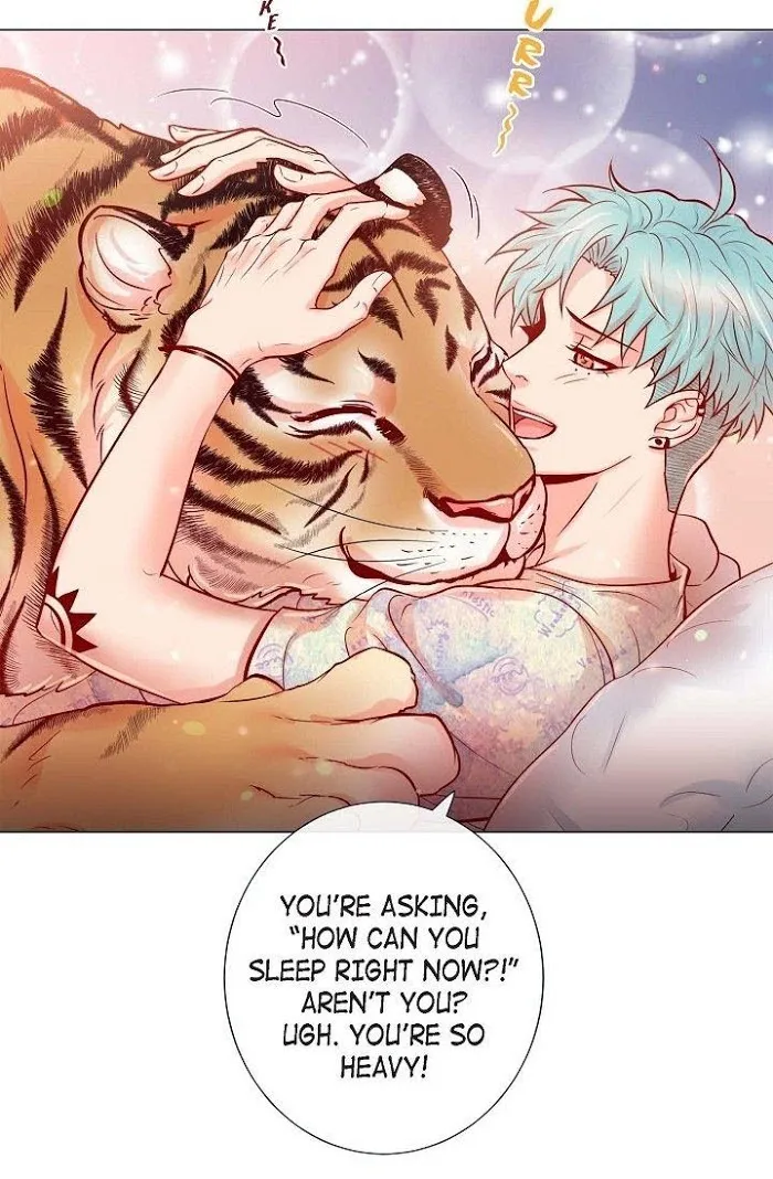 Biting The Tiger - Chapter 50 Page 10
