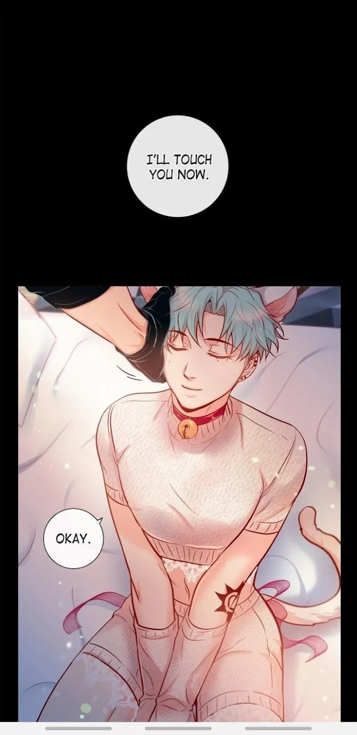 Biting The Tiger - Chapter 64 Page 5