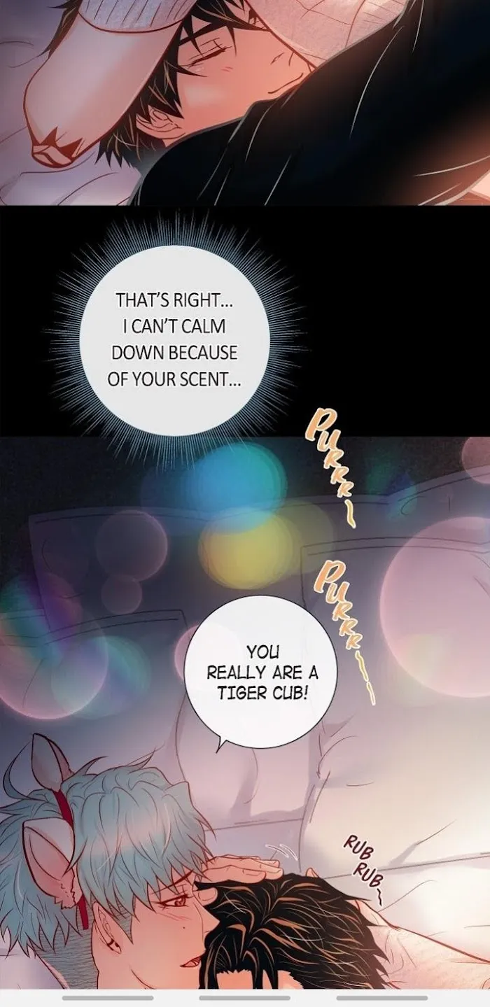 Biting The Tiger - Chapter 64 Page 24