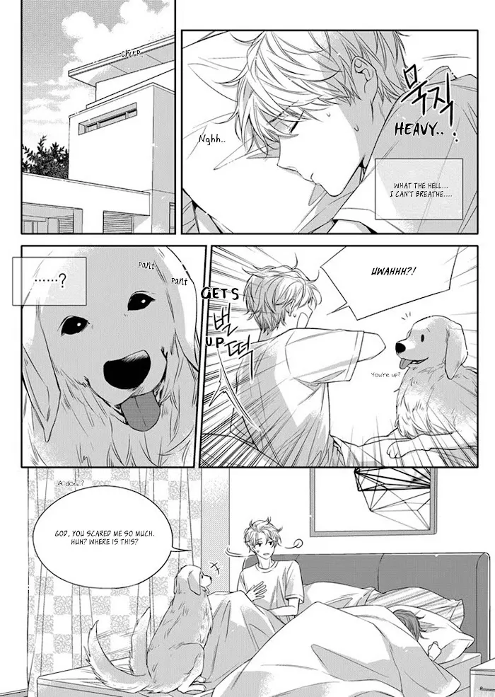 Unintentional Love Story - Chapter 6 Page 7