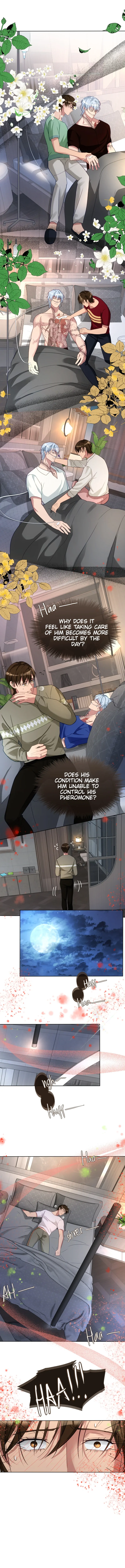 Mated To The Ruthless Alpha [Uncensored] - Chapter 13 Page 9