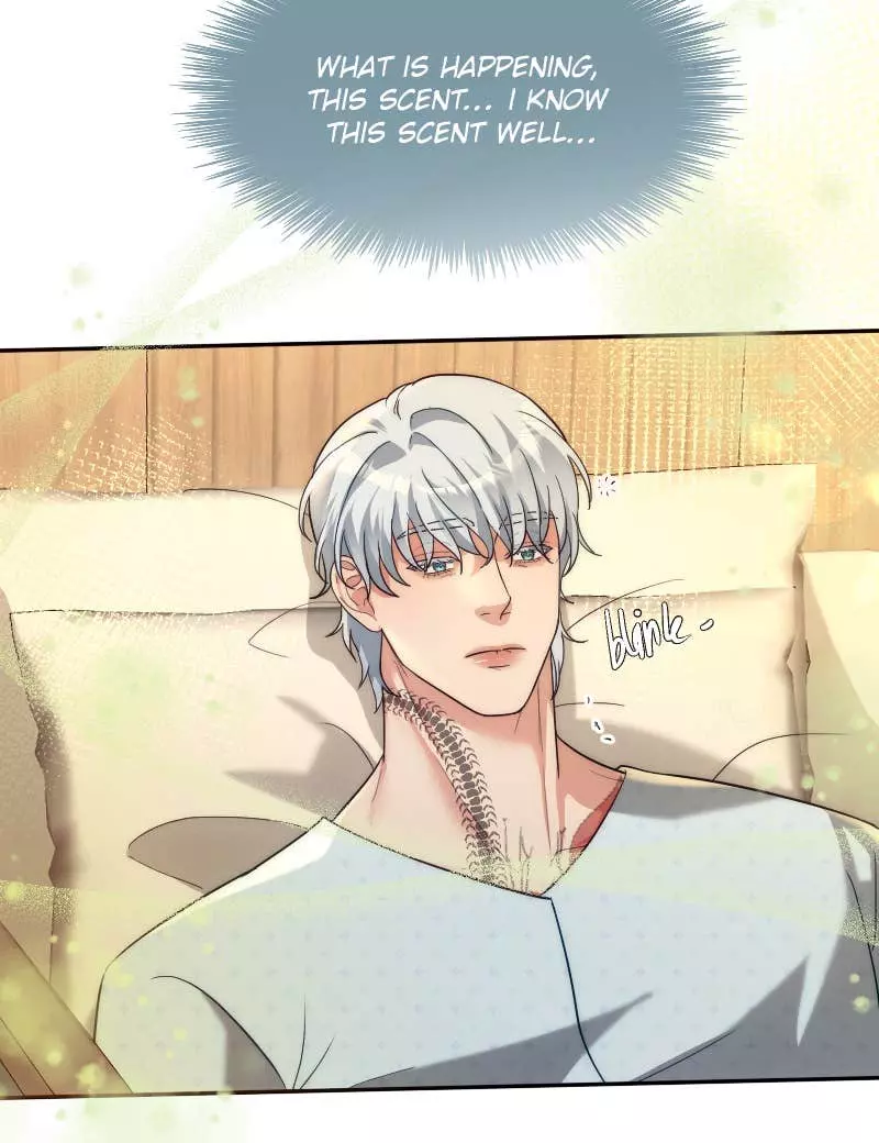 Mated To The Ruthless Alpha [Uncensored] - Chapter 49.2 Page 13