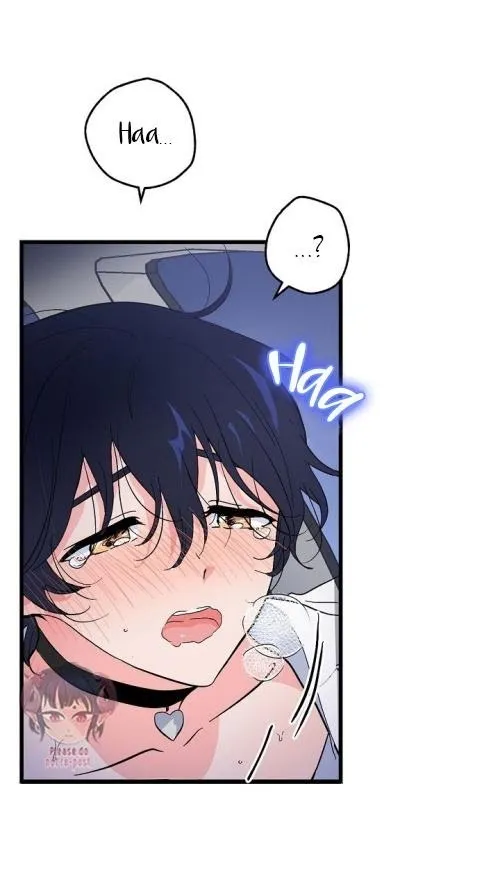 Puppy Love (Eumnya) - Chapter 19 Page 43