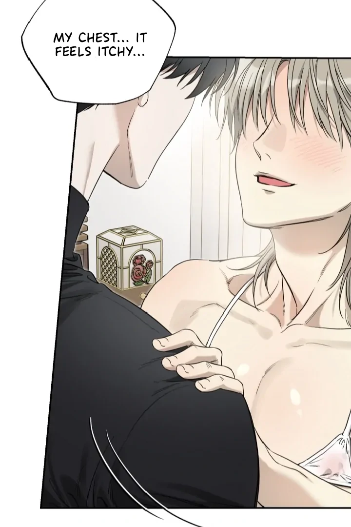 No Returns After Use - Chapter 20.2 Page 46