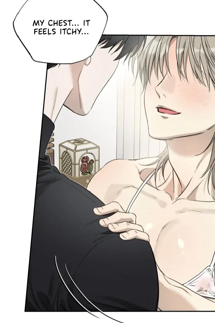 No Returns After Use - Chapter 24.1 Page 46