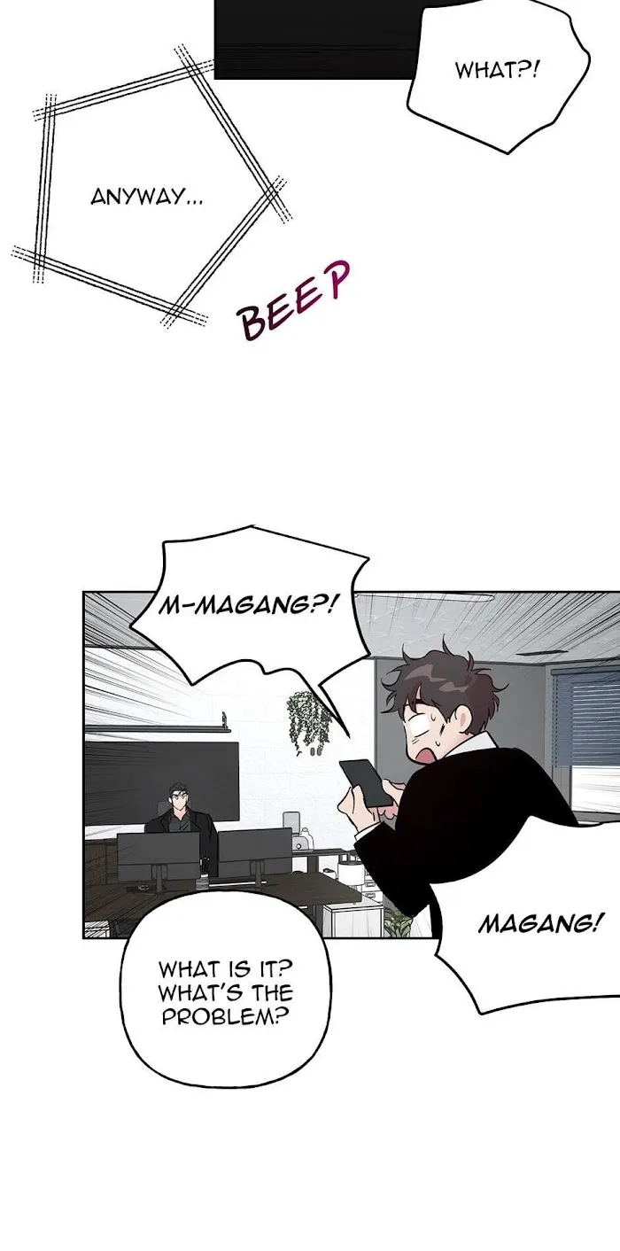 Assorted Wildness - Chapter 31 Page 39