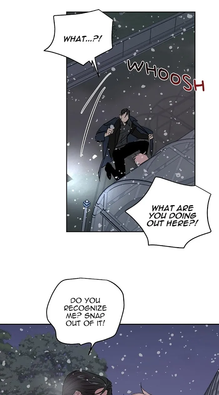 Assorted Wildness - Chapter 32 Page 41