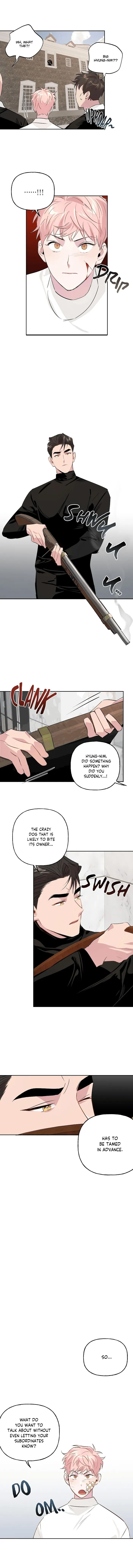 Assorted Wildness - Chapter 8 Page 5