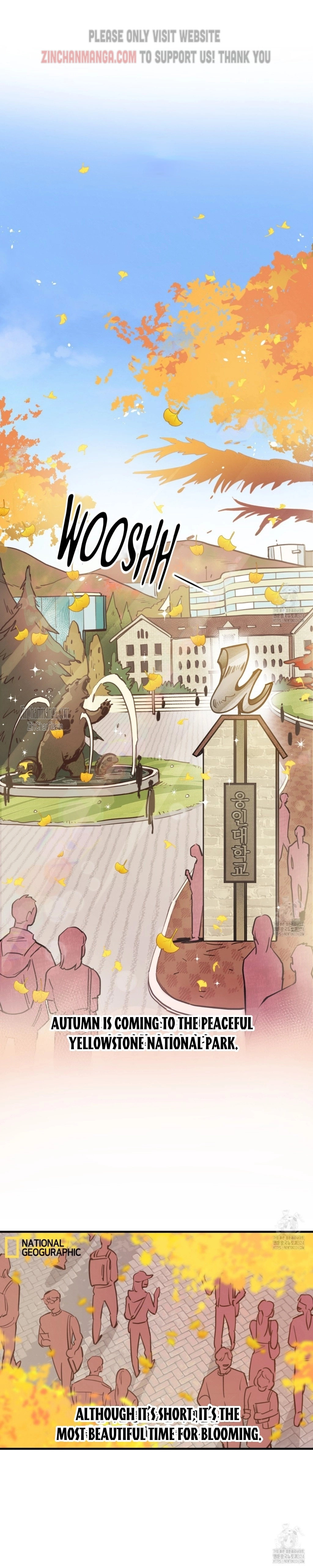 Honey Bear - Chapter 31 Page 1